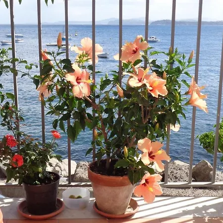 Panzió I Cinque Sensi 3*